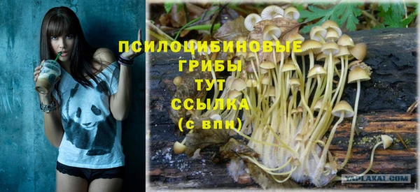 дурь Надым