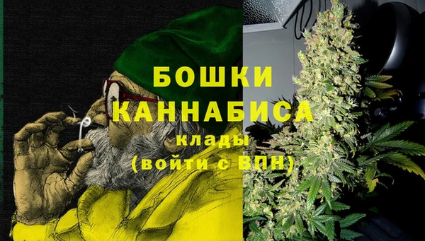 дурь Надым