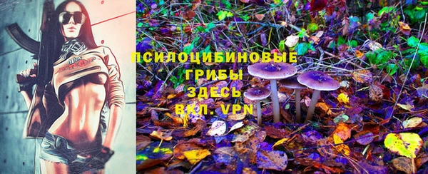 стаф Наволоки