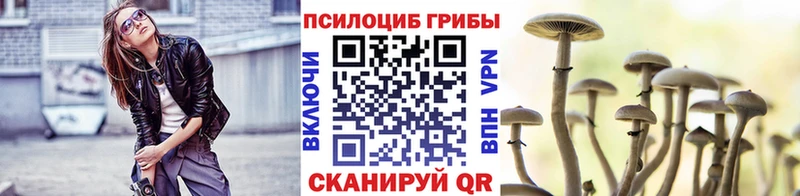 Галлюциногенные грибы Psilocybe  Курск 